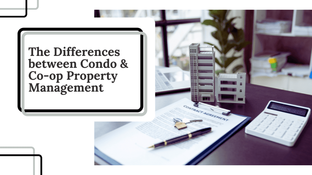 The Differences between Condo & Co-op Property Management in Harlem, NY - Article Banner