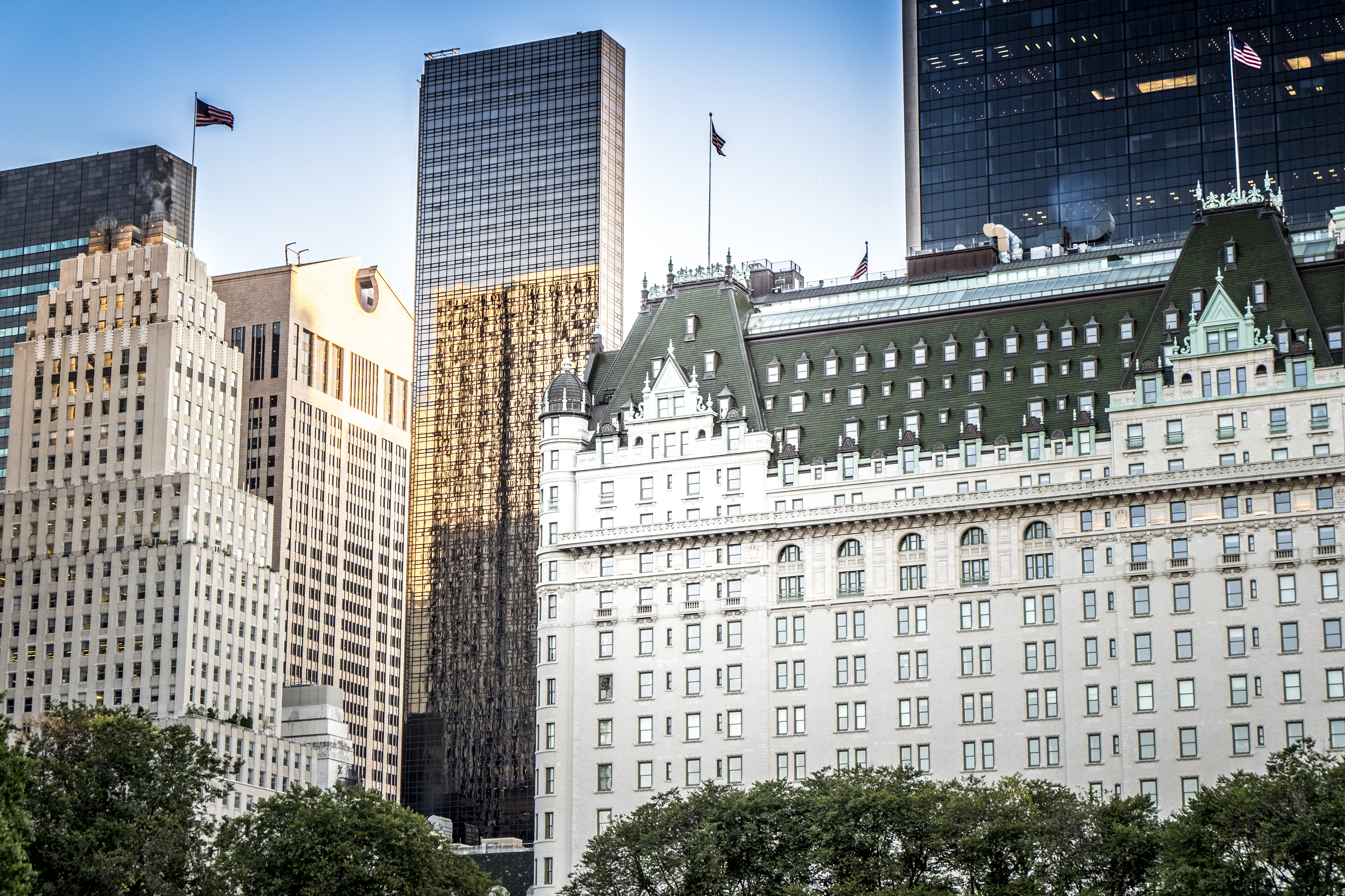 Meticulous Property Management