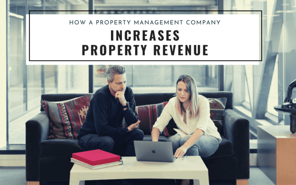 How a Professional Harlem Property Management Company Can Help Your Property’s Revenue - Article Banner