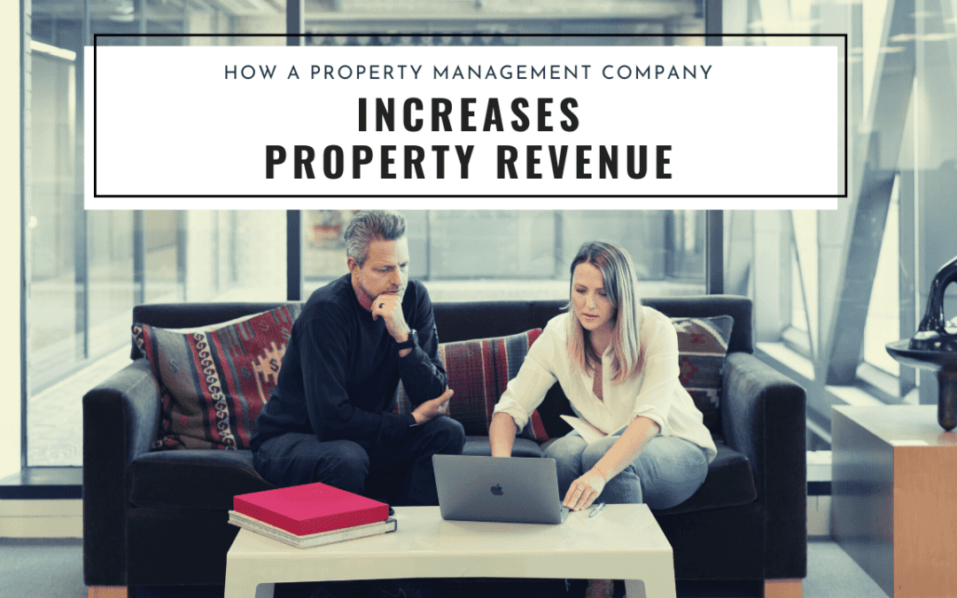 How a Professional Harlem Property Management Company Can Help Your Property’s Revenue