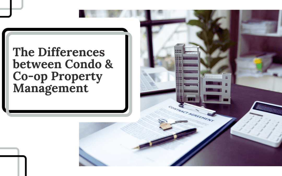 The Differences between Condo & Co-op Property Management in Harlem, NY